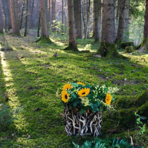 Eventbestattung - Baumbestattung im Wald der Ewigkeit