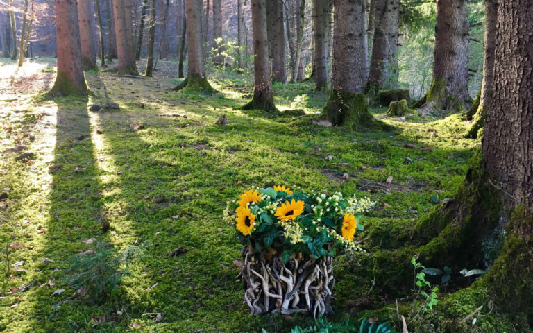 Eventbestattung - Baumbestattung im Wald der Ewigkeit